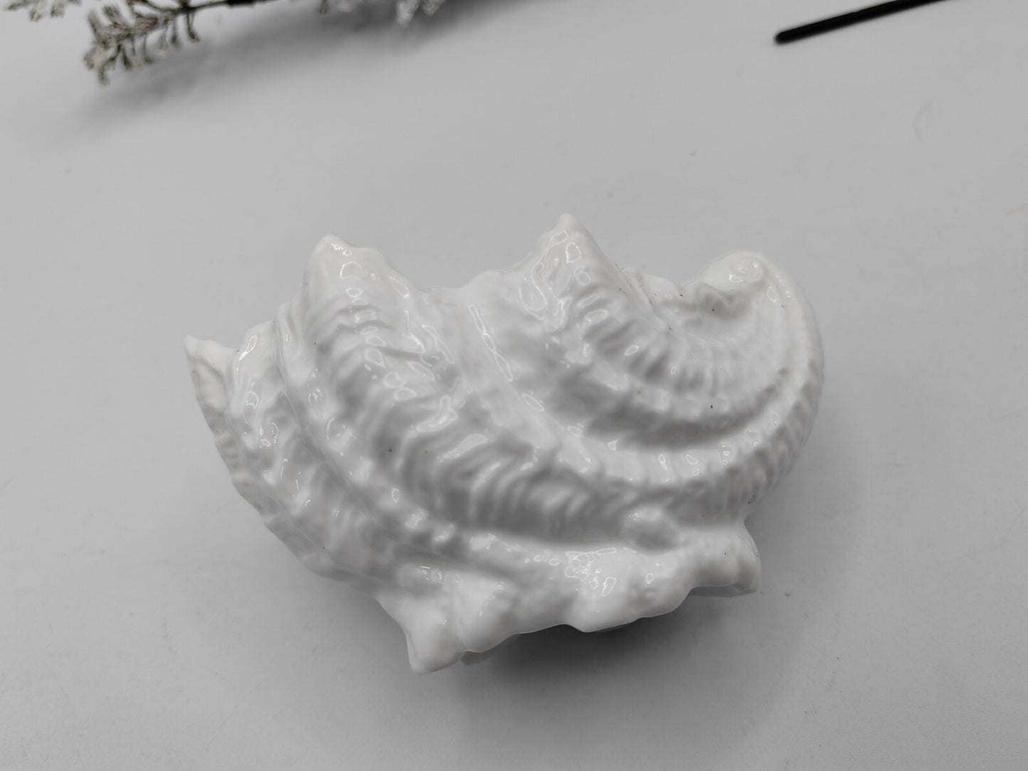 Bone China Shell Dish